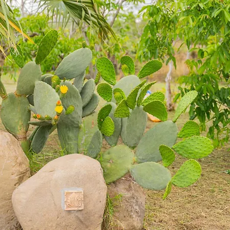 Villa Sicily Stone *