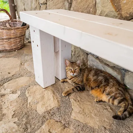 Sicily Stone Graniti